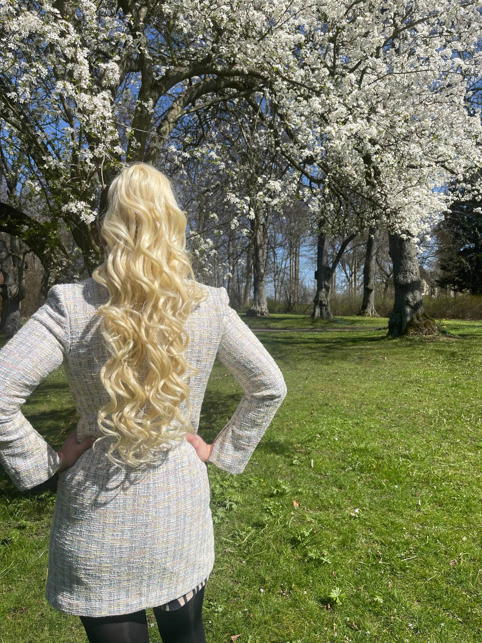 Cinderella ponytail - light blonde